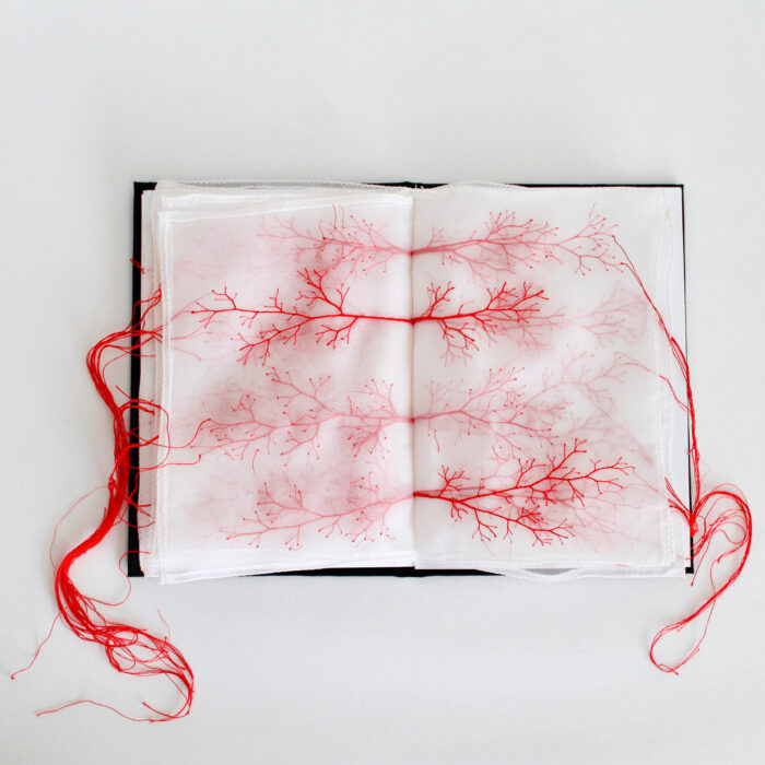 Artist's Red Thread Art Captures History, Nature, and Human Journey (10 ...