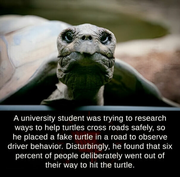 Awful Everything 35 Posts From 'Awful Everything' Illustrating How Awful The World Can ...