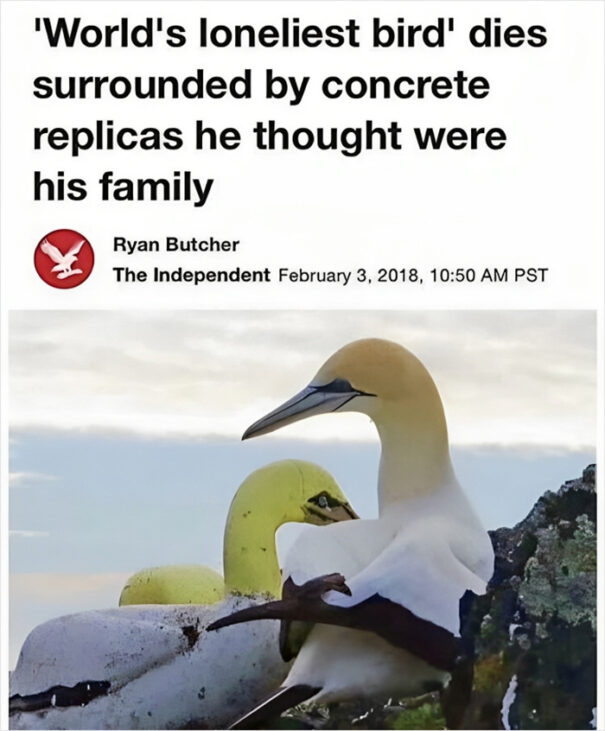 Awful Everything 35 Posts From 'Awful Everything' Illustrating How Awful The World Can ...