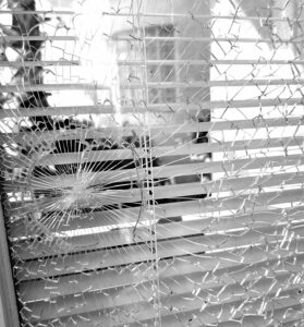 45 People’s True Stories That Sound Made Up | DeMilked