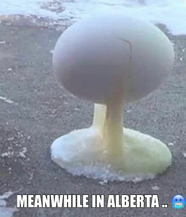 25 Posts From This Online Group Showing That Canada Is Unlike Any Other ...
