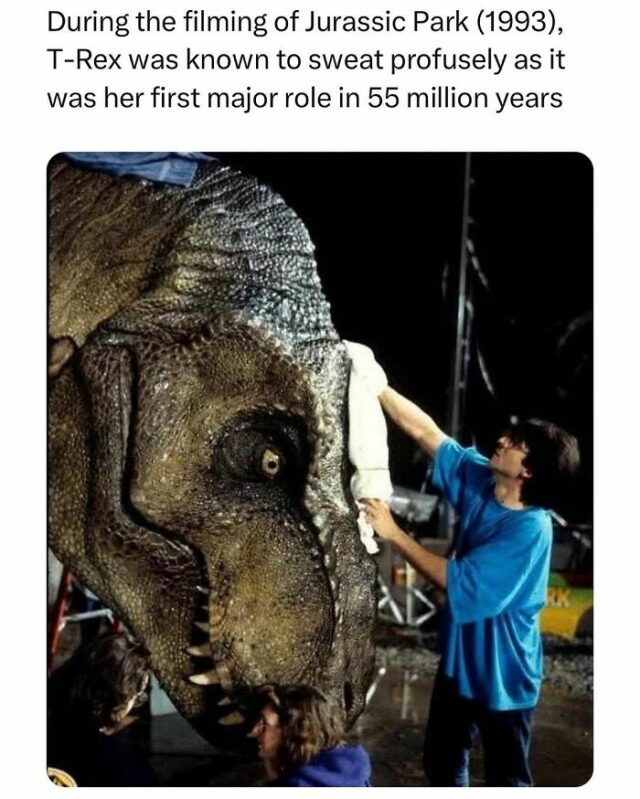 40 Of The Most Random And Funny Memes Shared On This IG Account | DeMilked