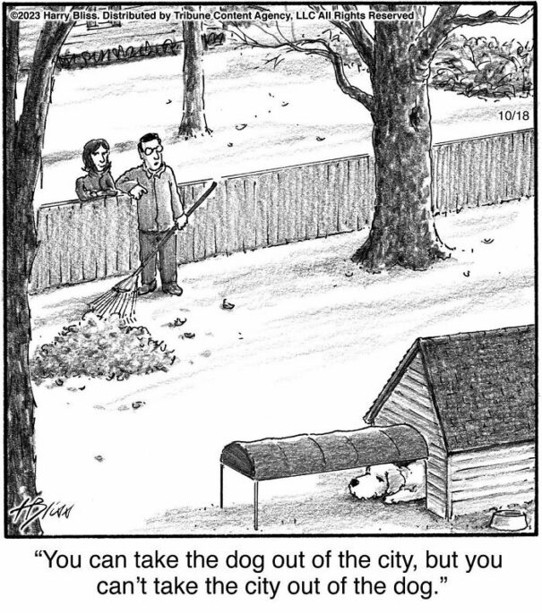 30 Whimsical One Panel Comics By Harry Bliss DeMilked 30-whimsical-one-panel-comics-by-harry-bliss-demilked