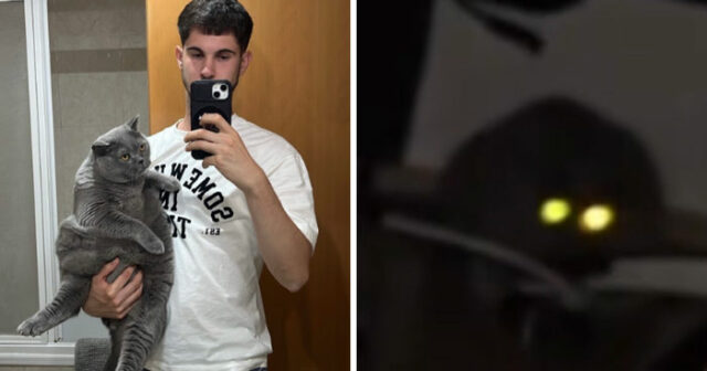 "It Wasn't My Best Friend, It Was The Devil: 25 Of The Funniest Pet