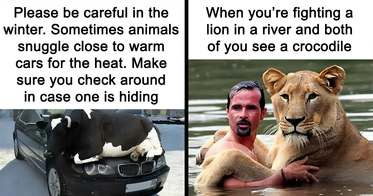 Adorable Animal Memes 736x907 Adorable Animal Memes 736x907