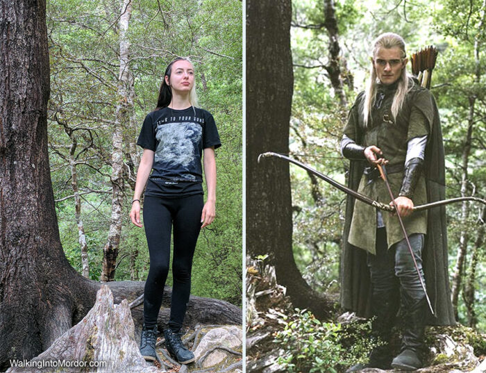 The Lord of the Rings visual data 7