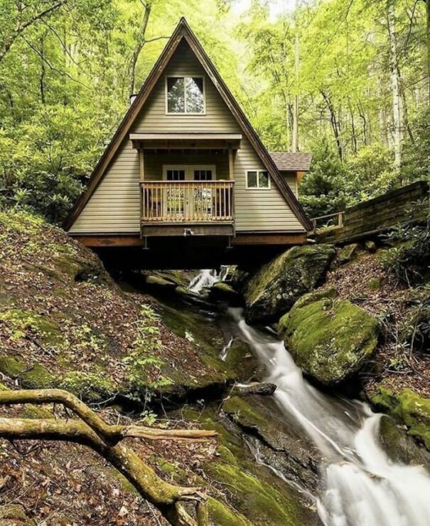 Curated visual reference: 25 Photos That Show The Joy Of Living In A Photo Inspiration