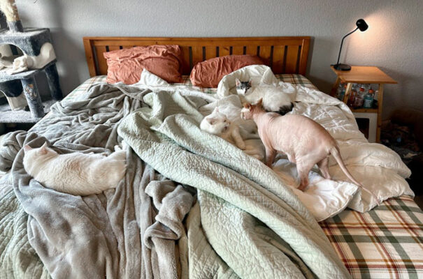 40 Unfortunate Times A Wifey Hilariously Failed At Something | DeMilked