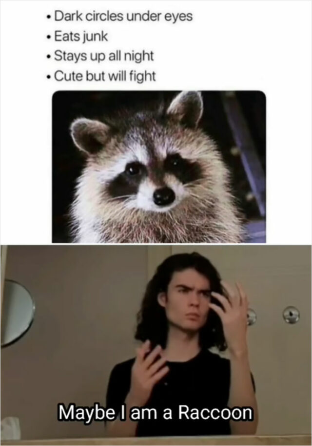 25 Relatable Memes That Accurately Describe An Introvert S Thoughts