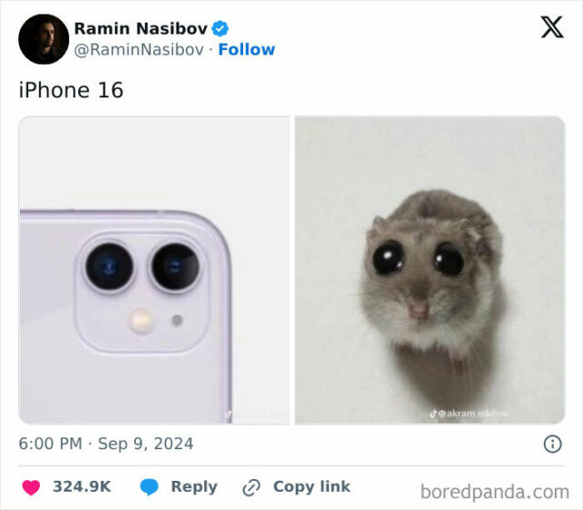 iPhone 16 Just Launched And Here Are 25 Of The Funniest Reaction Memes ...