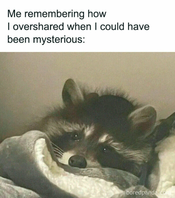 25 Dark Humour Raccoon Memes That The Internet Is Obsessed With | DeMilked