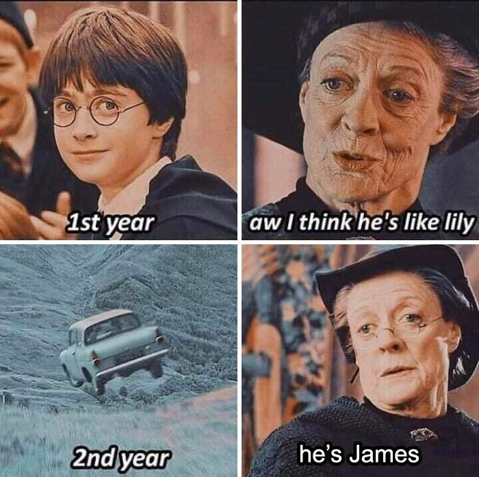 35 Of The Funniest Harry Potter Memes That Every Potterhead Will 35 Of The Funniest Harry Potter Memes That Every Potterhead Will