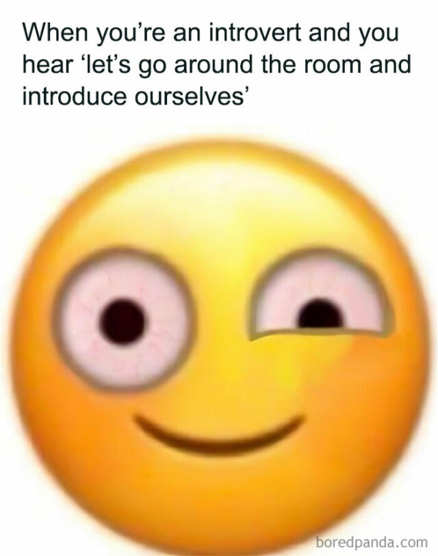 30 Hilariously Accurate Posts About The Life Of An Introvert | DeMilked