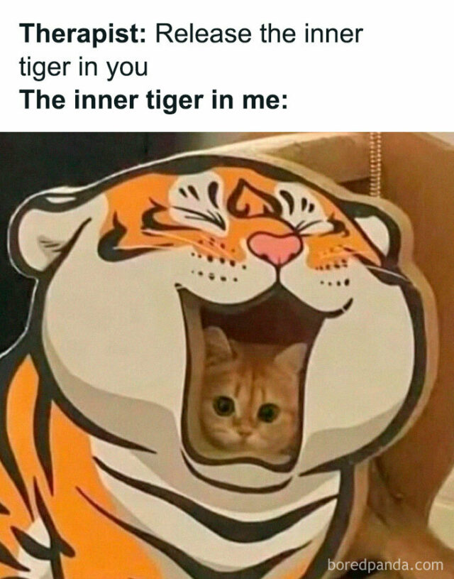 35 Hilarious Memes That Got Featured On This Instagram Page | DeMilked
