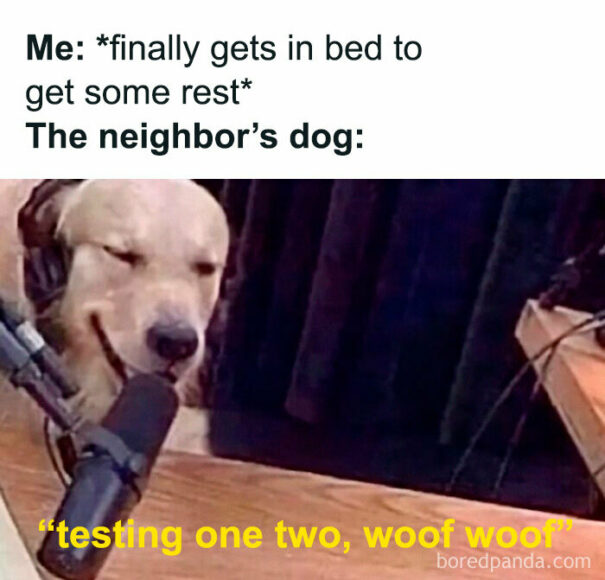 35 Hilarious Memes That Got Featured On This Instagram Page | DeMilked