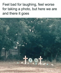 35 Of The Best Memes From The “Cheerful Nihilism” Account | DeMilked