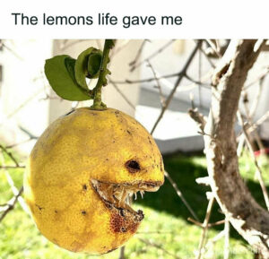 35 Of The Best Memes From The “Cheerful Nihilism” Account | DeMilked