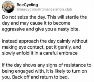 35 Of The Best Memes From The “Cheerful Nihilism” Account | DeMilked