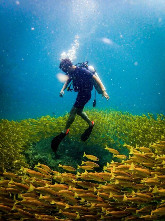 35 Times People s Claims Sounded Made Up But They Provided Receipts 35-times-people-s-claims-sounded-made-up-but-they-provided-receipts