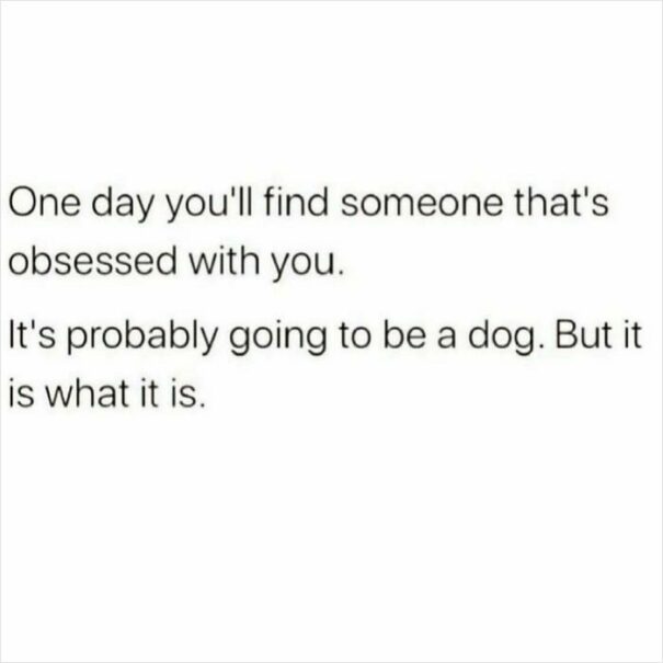 ‘That’s So Meme’: 25 Random Memes That Deliver Amusement To Your Screen ...