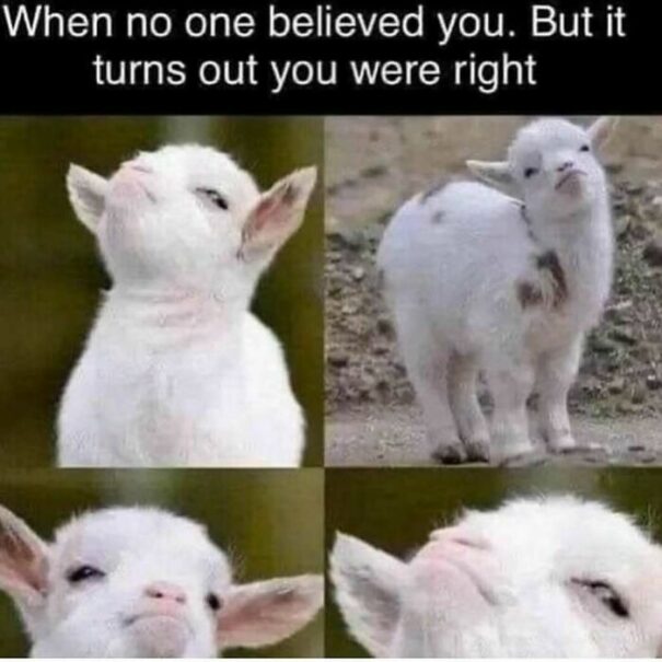 25 Extremely Relatable Memes For Anyone Using Humour To Cope With Life ...