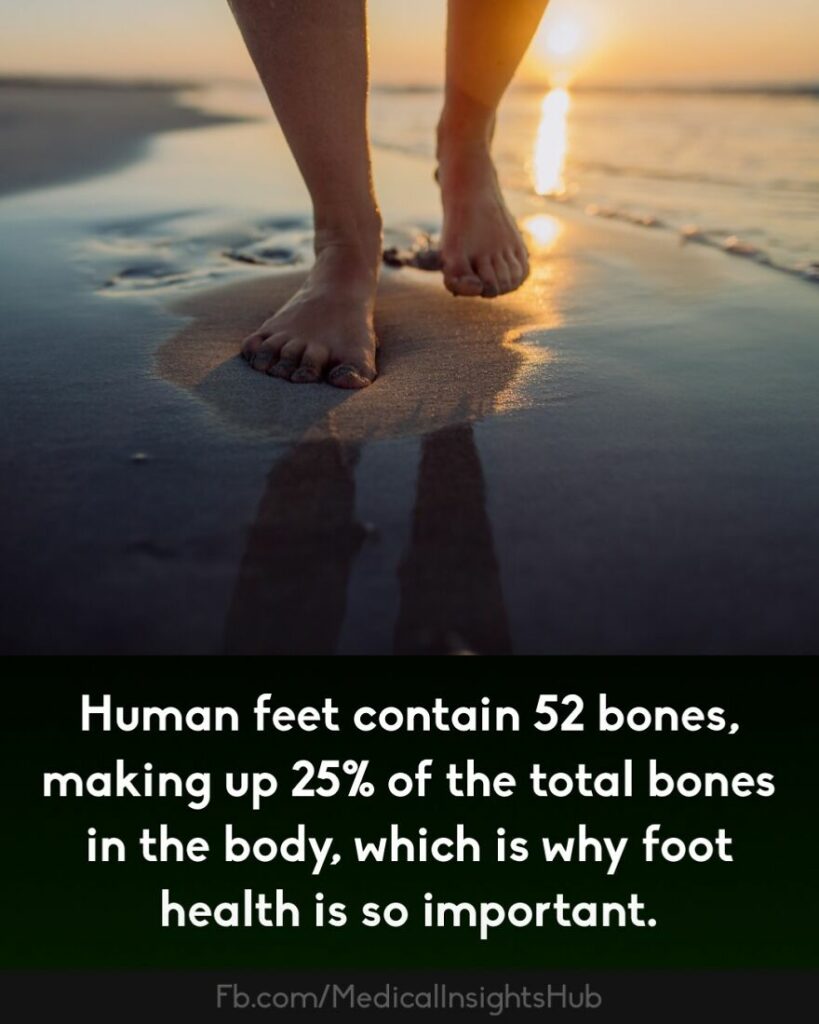 35 Strange Facts About The Human Body That Might Pique Your Interest ...